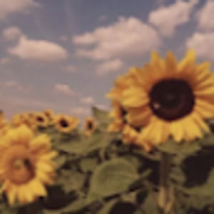 Meet your Posher, Stella